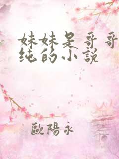 妹妹是哥哥的安纯的小说