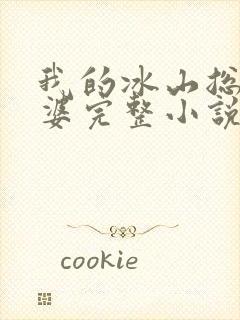 我的冰山总裁老婆完整小说