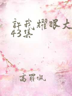 许我耀眼大结局43集