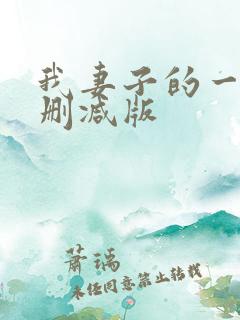 我妻子的一切未删减版
