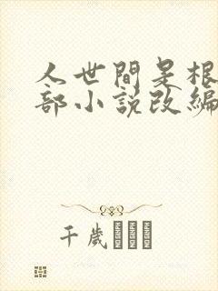 人世间是根据哪部小说改编的