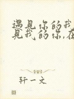 遇见你的我,遇见我的你,在同样的深夜里歌词
