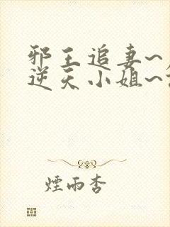 邪王追妻~废材逆天小姐~误惹妖孽王爷