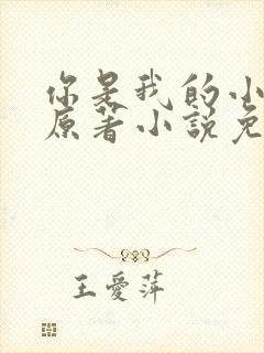 你是我的小确幸原著小说免费阅读