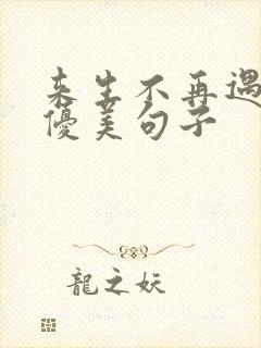 来生不再遇见你优美句子