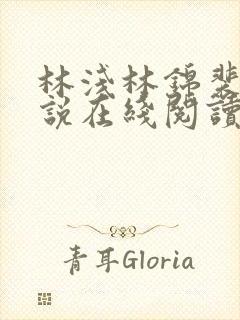 林浅林锦裴彻小说在线阅读