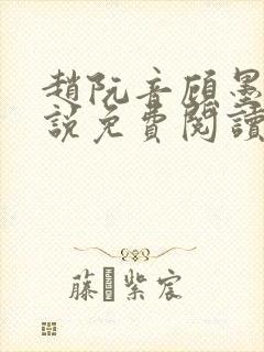 赵阮音顾墨淮小说免费阅读最新章节