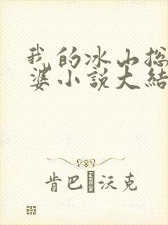 我的冰山总裁老婆小说大结局