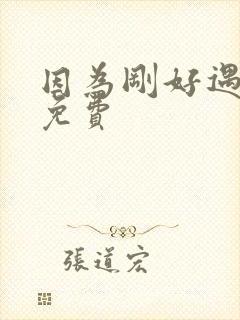 因为刚好遇见你免费