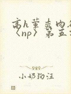 高h荤爽肉欲文〈np〉第五次
