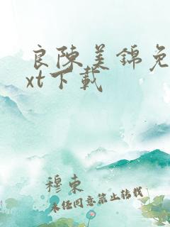 良陈美锦免费txt下载