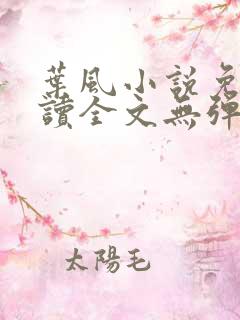 叶风小说免费阅读全文无弹窗