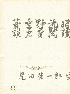 萧云野沈昭宁小说免费阅读最新章节