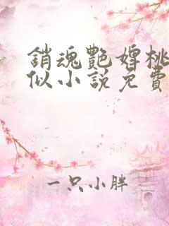 销魂艳婢桃儿类似小说免费阅读