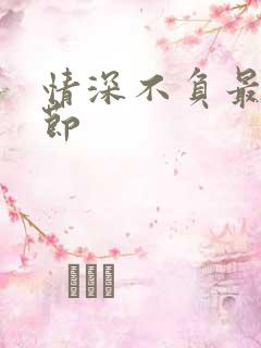 情深不负最新章节