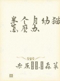 半个月幼猫拉稀怎么办