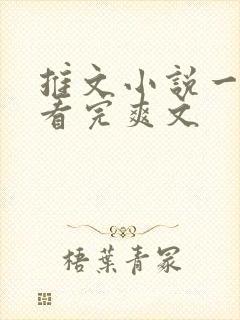 推文小说一口气看完爽文