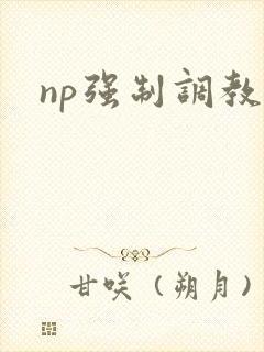 np强制调教文