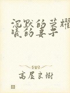 沉默的荣耀里聂曦的妻子