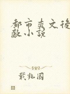 都市爽文后宫无敌小说