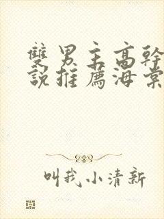 双男主高干文小说推荐海棠