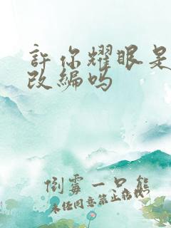 许你耀眼是小说改编吗