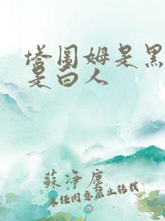 塔图姆是黑人还是白人