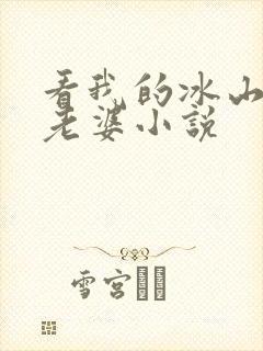 看我的冰山总裁老婆小说