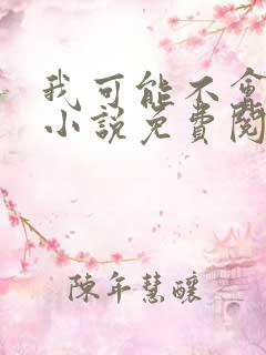 我可能不会爱你小说免费阅读