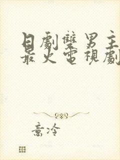 日剧双男主推荐最火电视剧