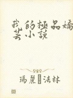 我的极品娇妻苏芸小说