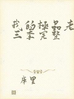 我的极品老婆第三季完整