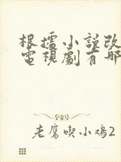 根据小说改编的电视剧有哪些