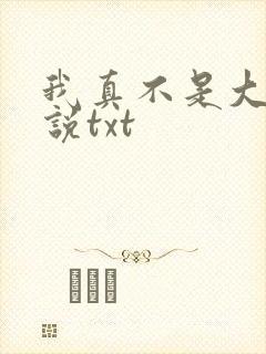 我真不是大佬小说txt