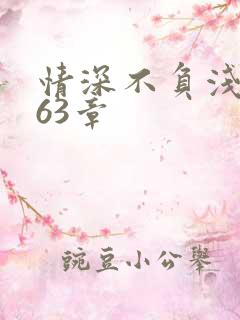 情深不负浅时光63章