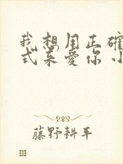 我想用正确的方式来爱你 小说