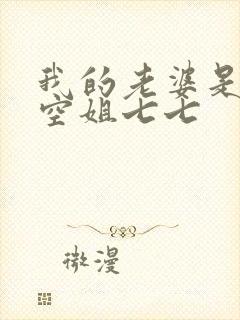 我的老婆是一名空姐七七