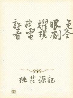 许我耀眼免费观看电视剧全集在线播放高清