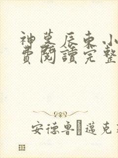 神墓辰东小说免费阅读完整版
