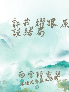 许我耀眼原著小说结局