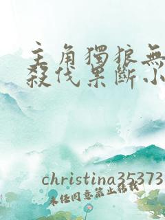 主角独狼无女主杀伐果断小说