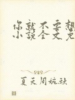 你就不要想起我小说全文免费阅读