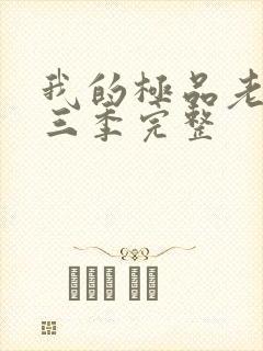 我的极品老婆第三季完整