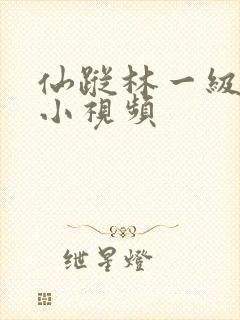 仙踪林一级黄色小视频