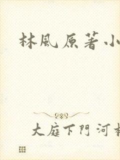 林风原著小说