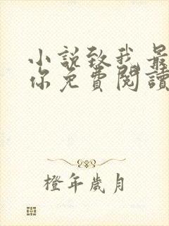 小说致我最爱的你免费阅读