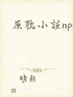 原耽小说np