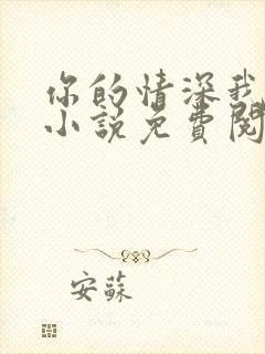 你的情深我不配小说免费阅读全文