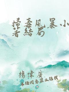 扫毒风暴小说原著结局