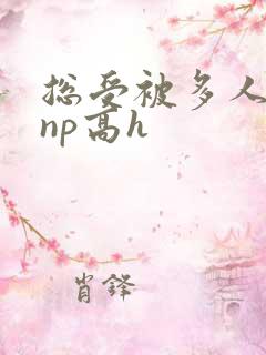 总受被多人玩弄np高h